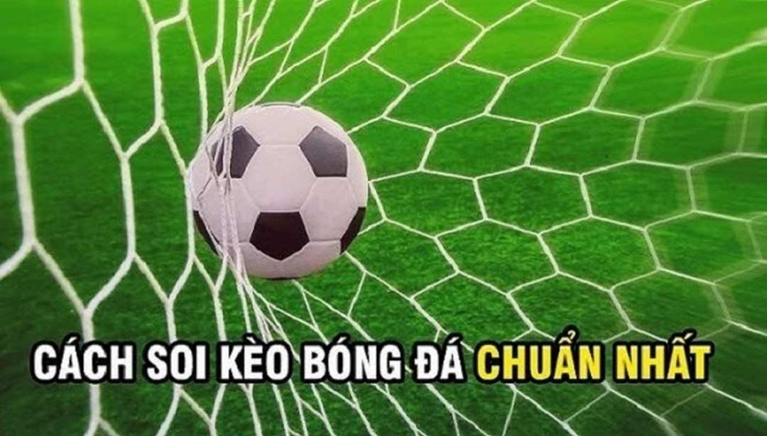 Những kinh nghiệm soi kèo C1 và dự đoán thành công