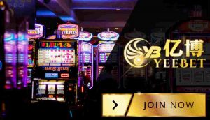 Yeebet Live Casino