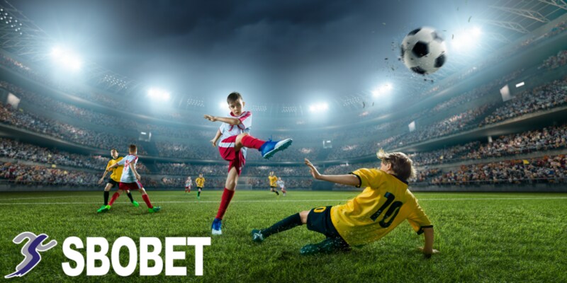 Các lý do khiến người chơi không thể đăng ký Sbobet thành công