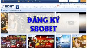 Làm Thế Nào Để Người Chơi Đăng Ký Sbobet Thành Công 100%?