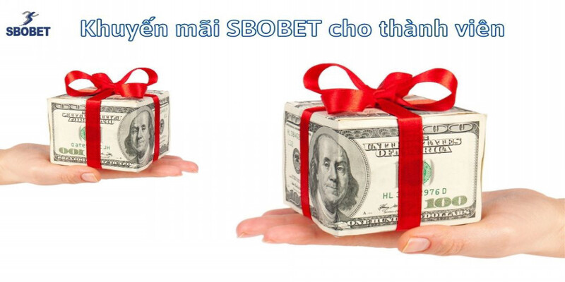 Hoa Hồng Cho Đại Lý