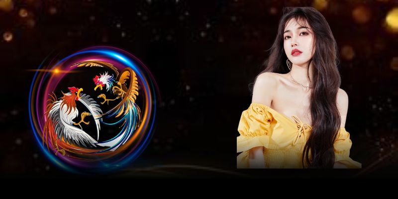 Những bí kíp chơi đá gà Thomo thắng tuyệt đối