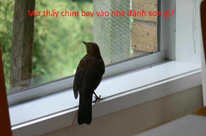 Image 77
