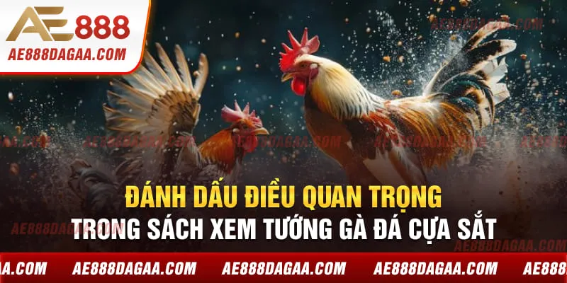 Đánh dấu điều quan trọng trong sách xem tướng gà đá cựa sắt