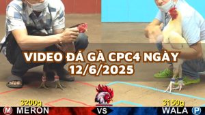 da-ga-cpc4-12-6-25