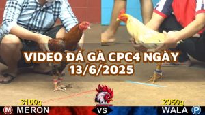 da-ga-cpc4-13-6-25