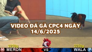 da-ga-cpc4-14-6-25