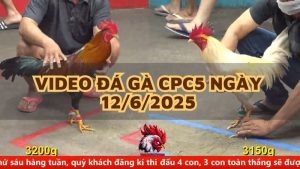 da-ga-cpc5-12-6-25
