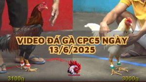 da-ga-cpc5-13-6-25