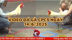 da-ga-cpc5-14-6-25