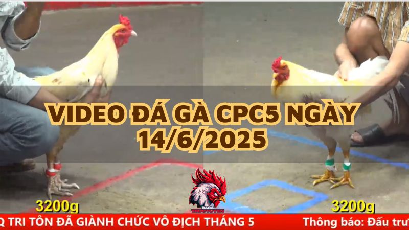 da-ga-cpc5-14-6-25