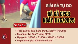 giai-cpc3-11-6-2025