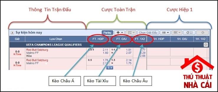 Đọc kèo bóng đá cho người mới - Hướng dẫn đọc kèo bóng đá mới nhất