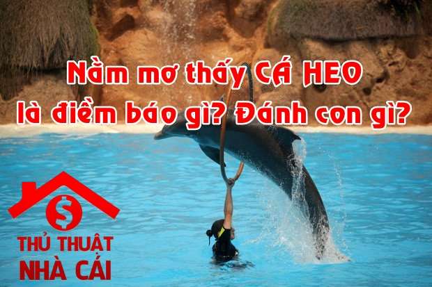 Nằm mơ thấy cá heo là điềm gì