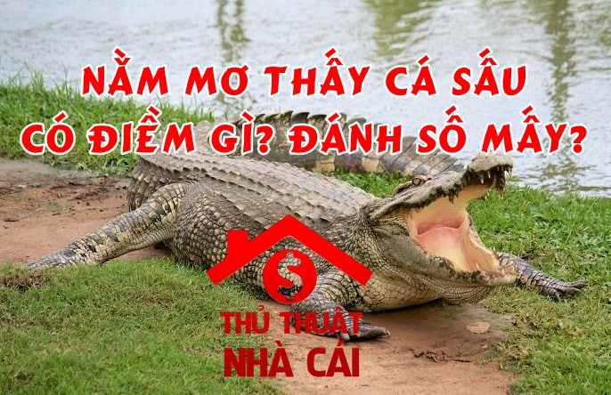 Nằm mơ thấy cá sấu điềm gì