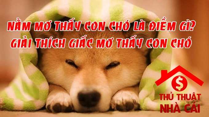 Nằm mơ thấy chó là điềm gì