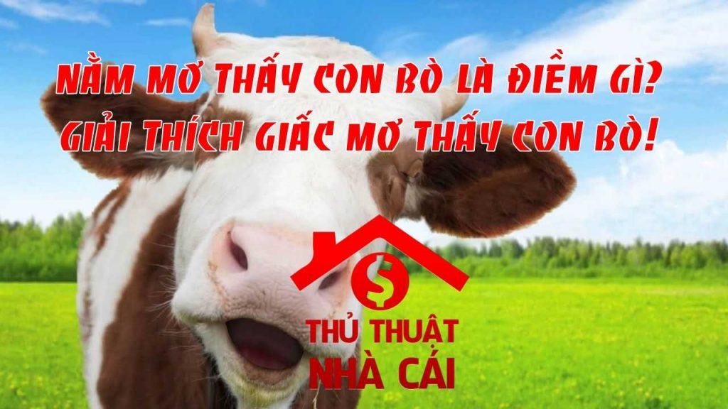 Nằm mơ thấy con bò