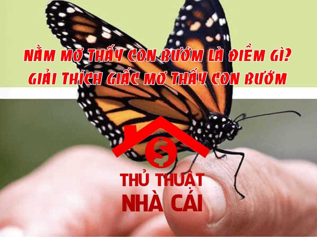 Nằm mơ thấy con bướm