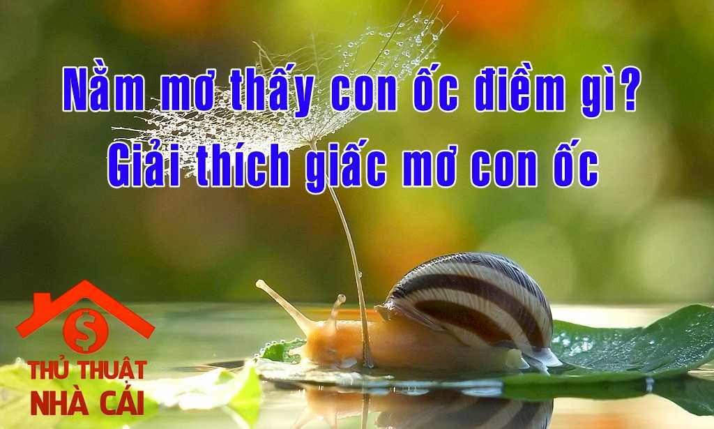 Nằm mơ thấy con ốc điềm gì