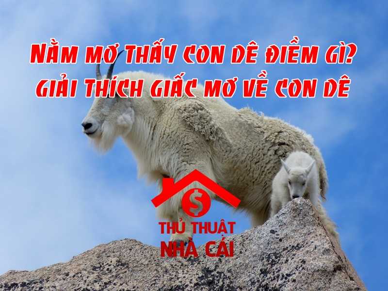 Mơ thấy dê là điềm gì? Giải thích giấc mơ thấy con dê mới nhất