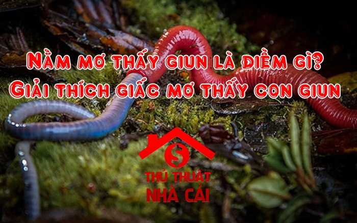 Mơ thấy giun là điềm gì? Giải thích giấc mơ thấy con giun