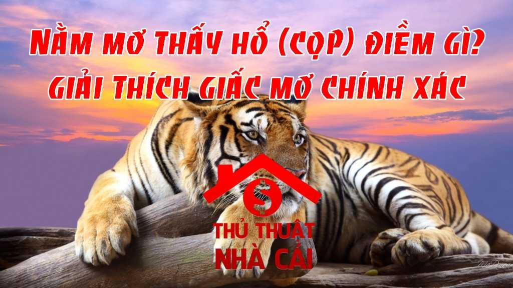 Mơ thấy hổ