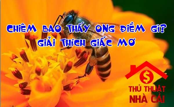 Nằm mơ thấy ong điềm gì