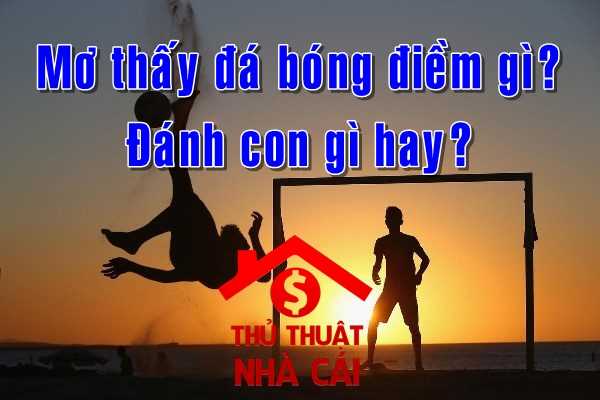 Mơ thấy đá bóng là điềm gì? Giải thích giấc mơ thấy đá bóng