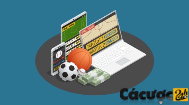 Chọn nhà cái uy tín để chơi cá cược online