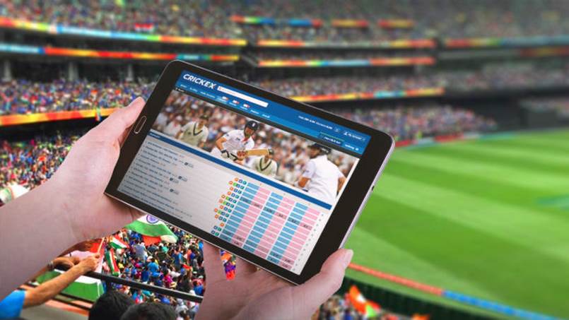 Tìm hiểu trò chơi cá cược cricket là gì?