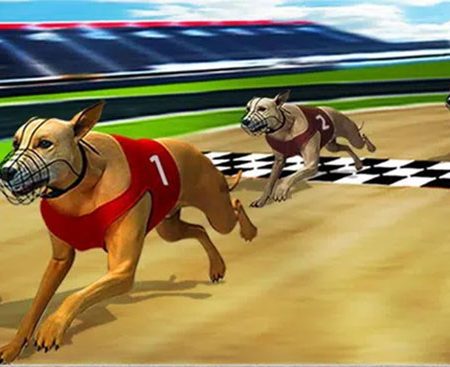 Hướng dẫn cách chơi Đua chó ảo tại nhà cái Vn88