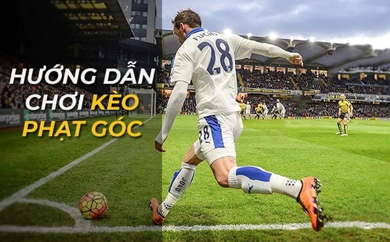 Hướng dẫn cách bắt kèo phạt góc cực đỉnh chi tiết từ A đến Z