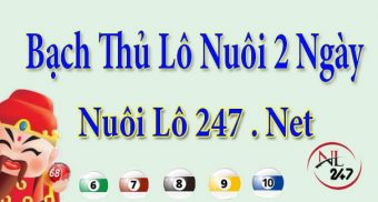 Bạch thủ lô nuôi khung 2 ngày