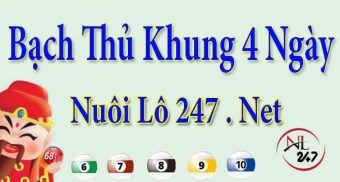 Bạch thủ lô nuôi khung 4 ngày