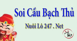 Soi cầu bạch thủ lô