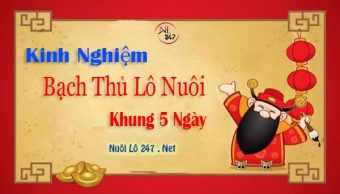 Lô bạch thủ nuôi khung 5 ngày