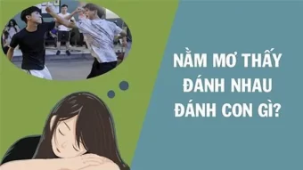 mơ thấy đánh nhau đánh số gì