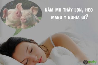 Mơ thấy con lợn chơi con gì