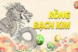 Trong mơ thấy cá heo đánh số gì