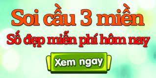 Mơ thấy đi chơi đánh số mấy