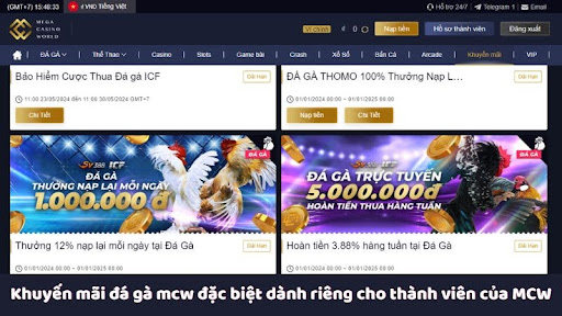 Khuyến mãi đá gà mcw đặc biệt dành riêng cho thành viên của MCW