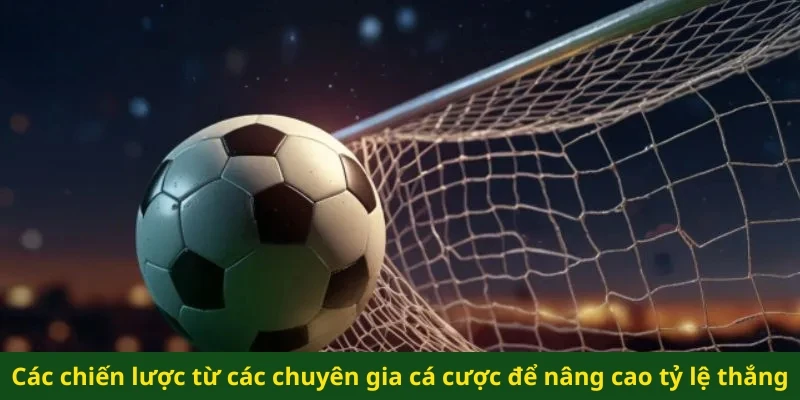 Các chiến lược từ các chuyên gia cá cược để nâng cao tỷ lệ thắng