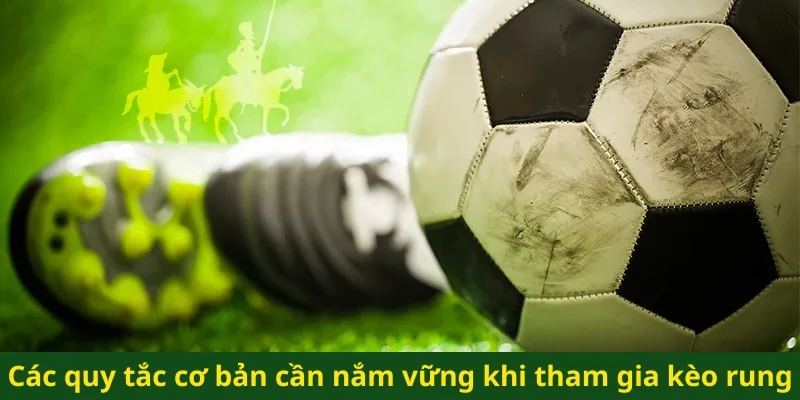 Các quy tắc cơ bản cần nắm vững khi tham gia kèo rung