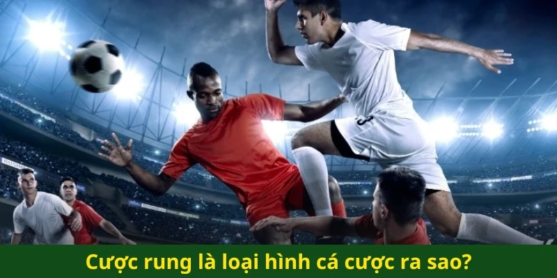 Cược rung là loại hình cá cược ra sao?