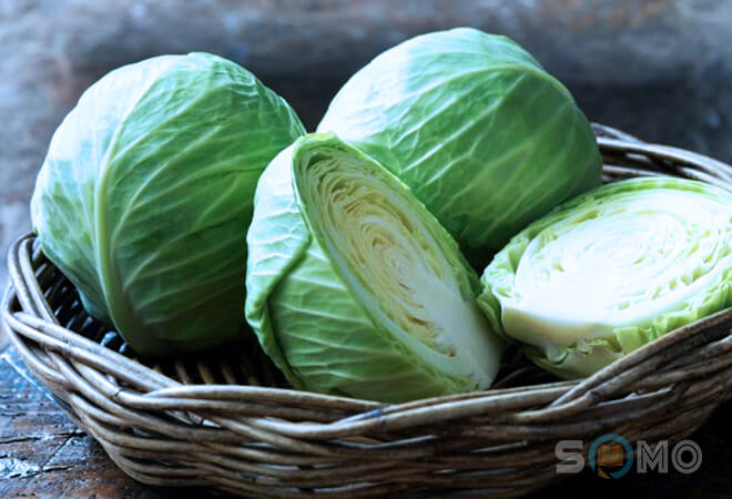 mơ thấy bắp cải đánh lô đề con gì