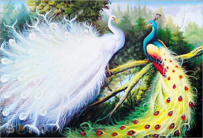 mơ thấy con công đánh lô đề con gì