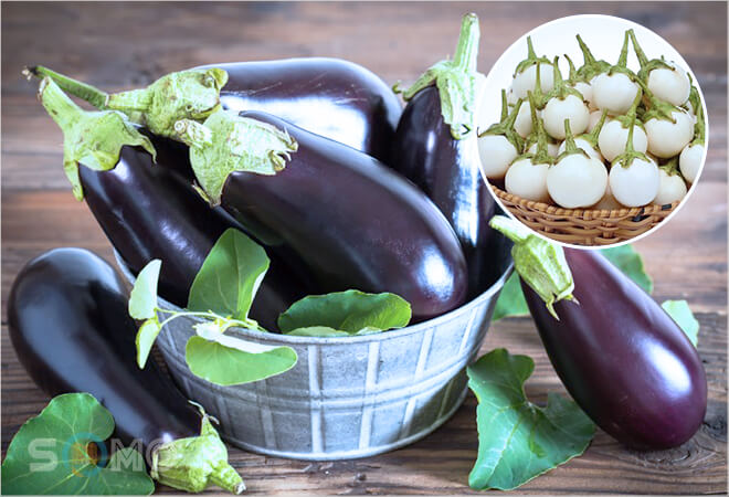 mơ thấy quả cà đánh lô đề con gì