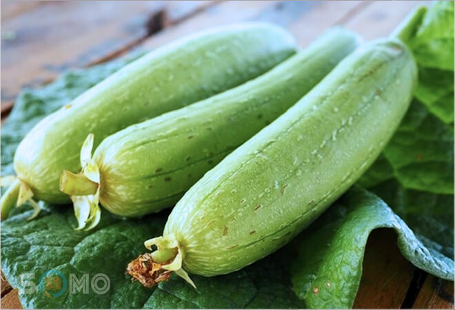 mơ thấy quả mướp đánh lô đề con gì