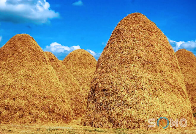 mơ thấy rơm rạ đánh lô đề con gì