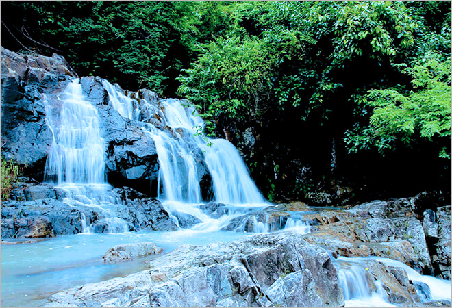 mơ thấy suối đánh lô đề con gì